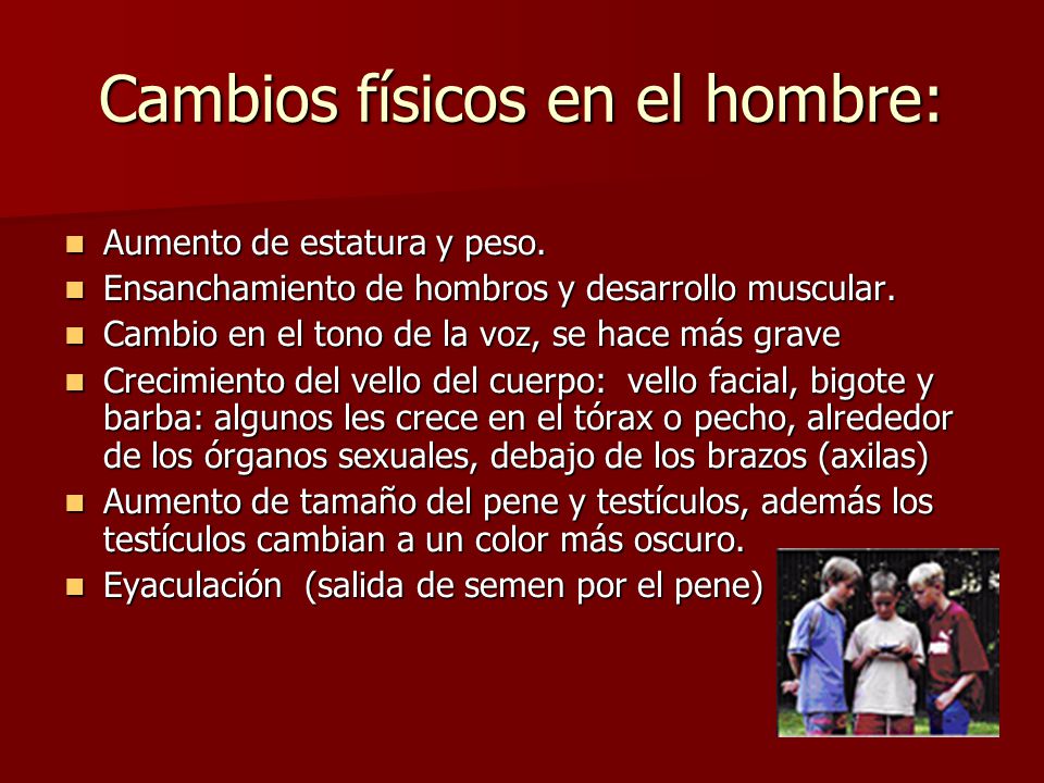Hay cuanto una operación del enderezamiento del miembro